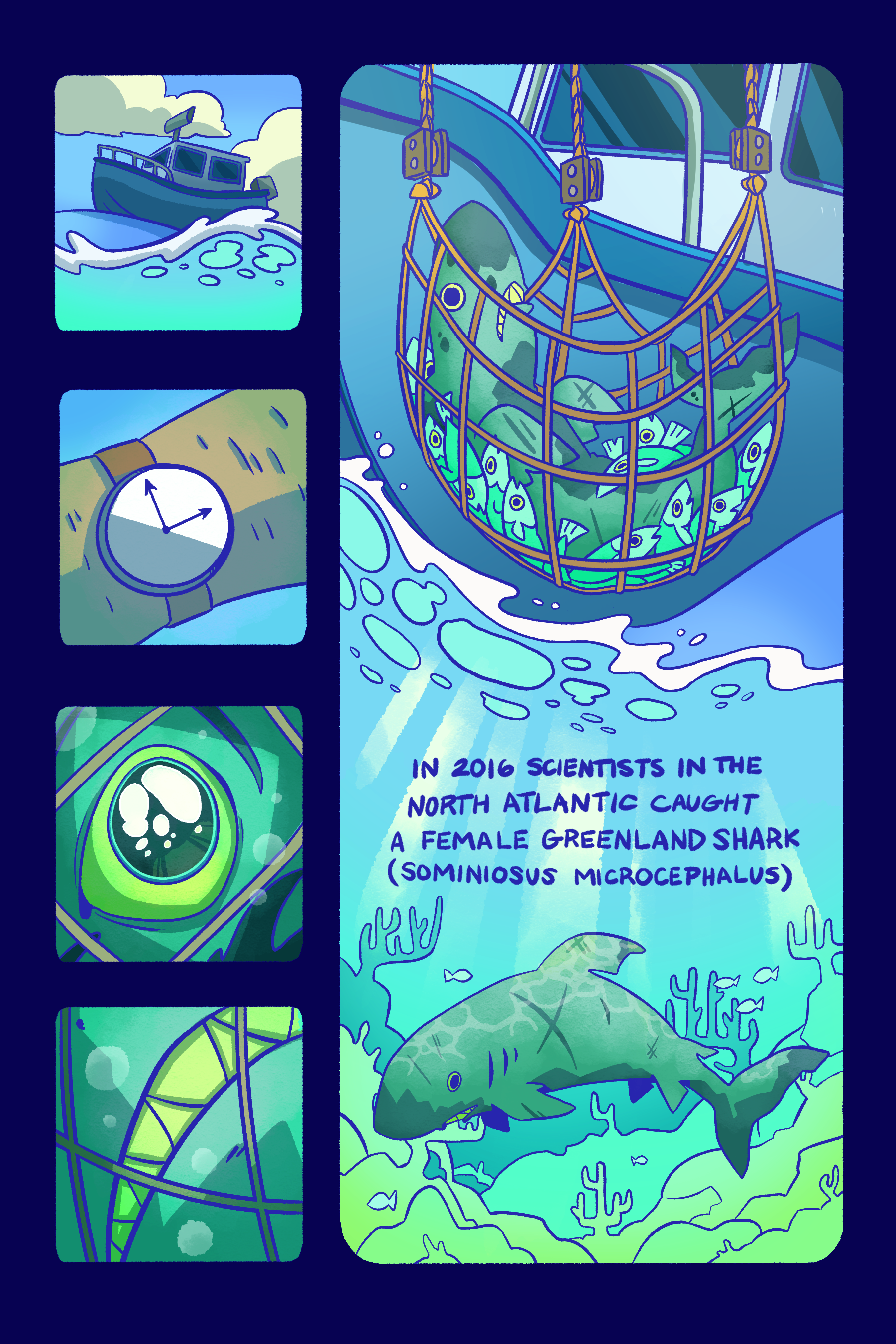greenland shark comic